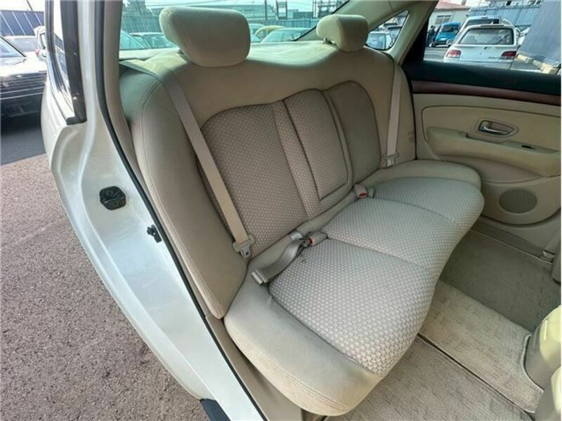 BLUEBIRD SYLPHY