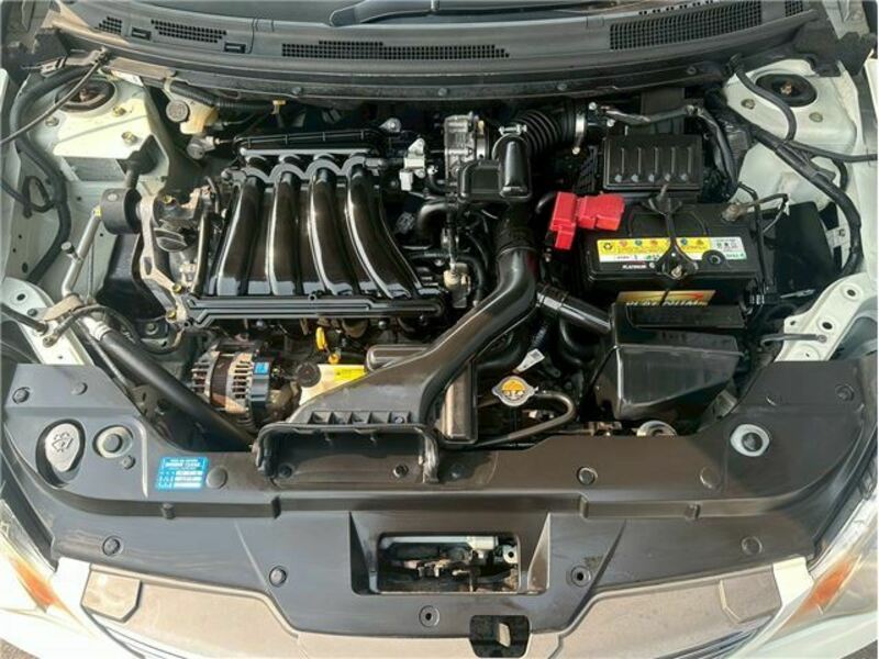 BLUEBIRD SYLPHY