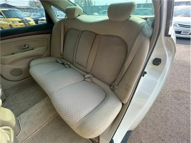 BLUEBIRD SYLPHY