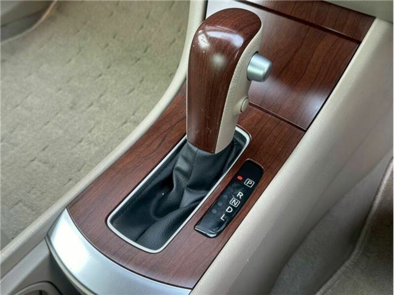 BLUEBIRD SYLPHY
