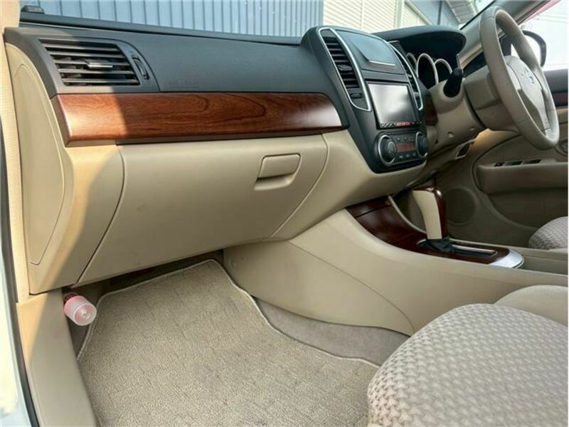BLUEBIRD SYLPHY
