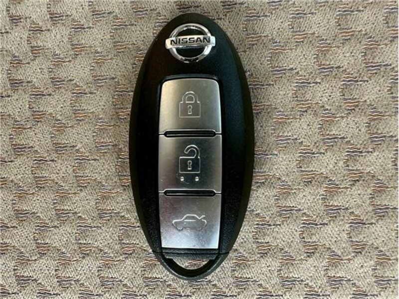 BLUEBIRD SYLPHY