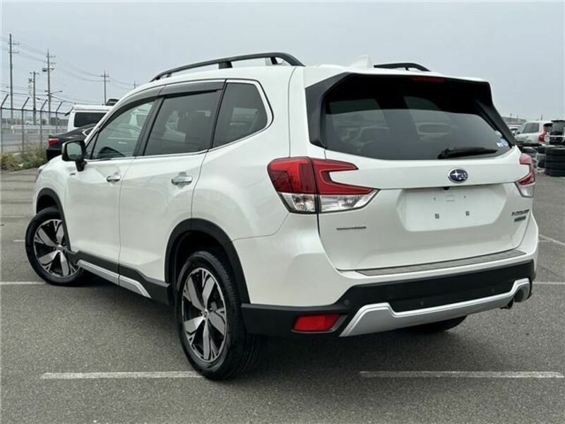 FORESTER
