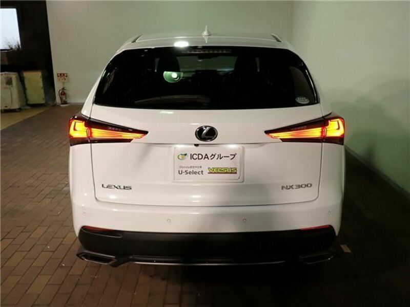 NX