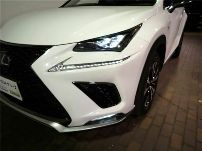 NX