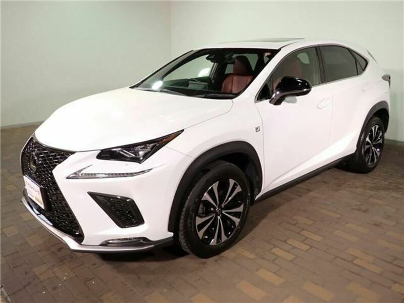 NX