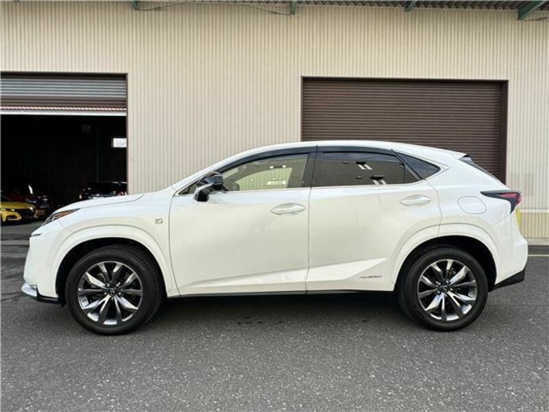 NX