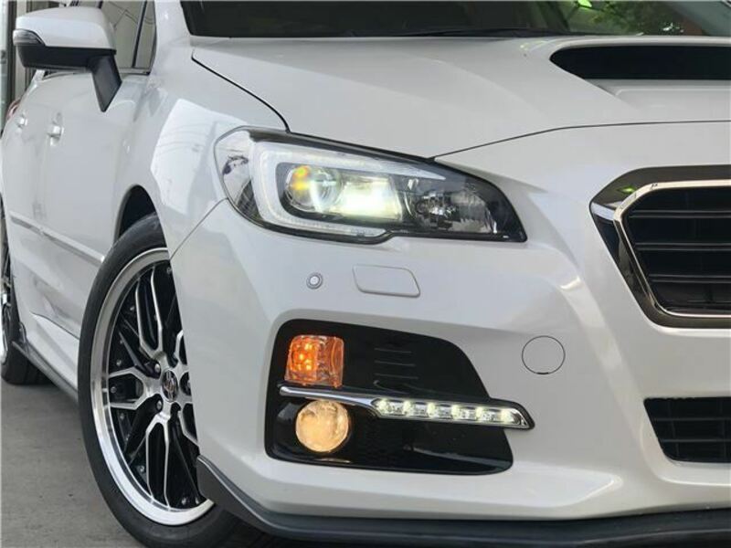 LEVORG