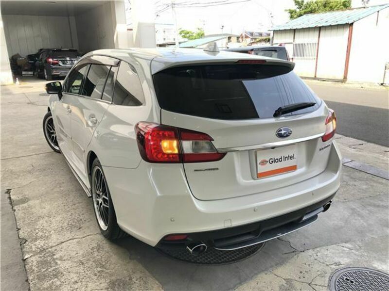 LEVORG