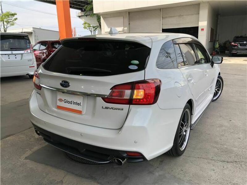 LEVORG