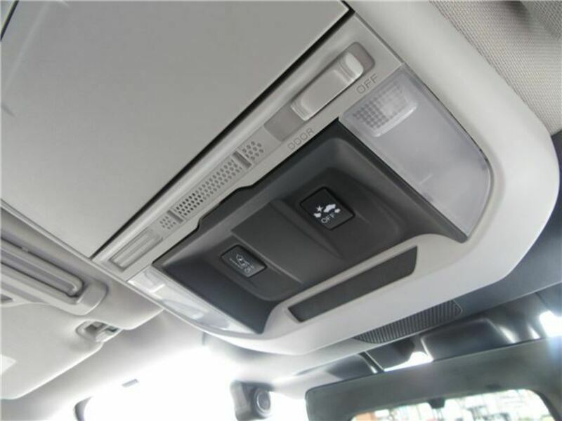 FORESTER-17
