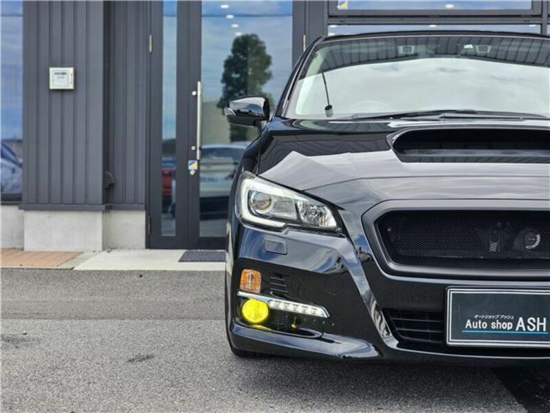 LEVORG-13