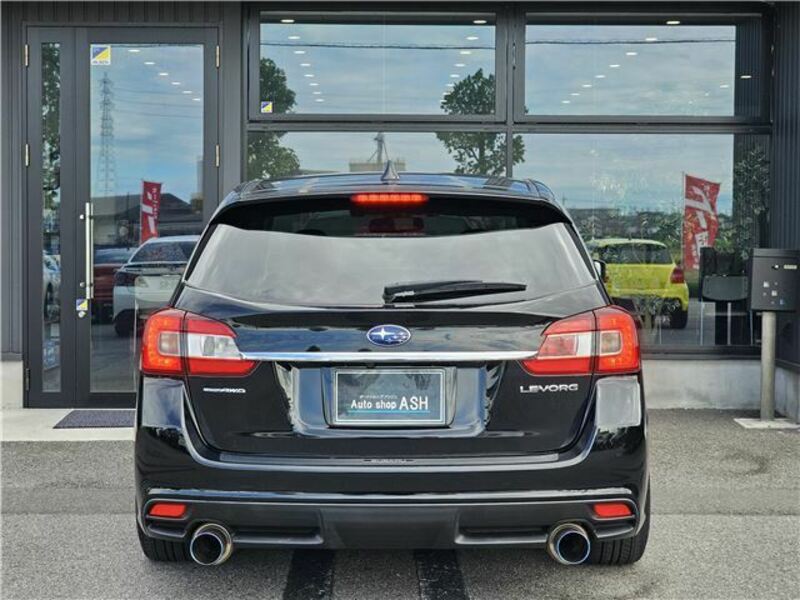 LEVORG-19