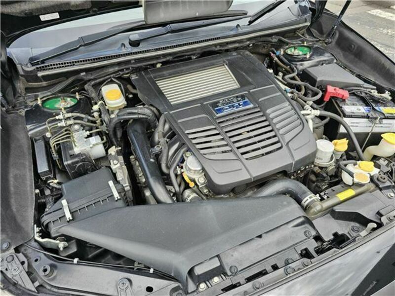 LEVORG-20
