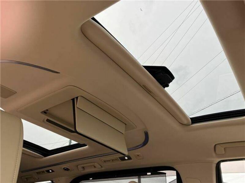 ALPHARD-10