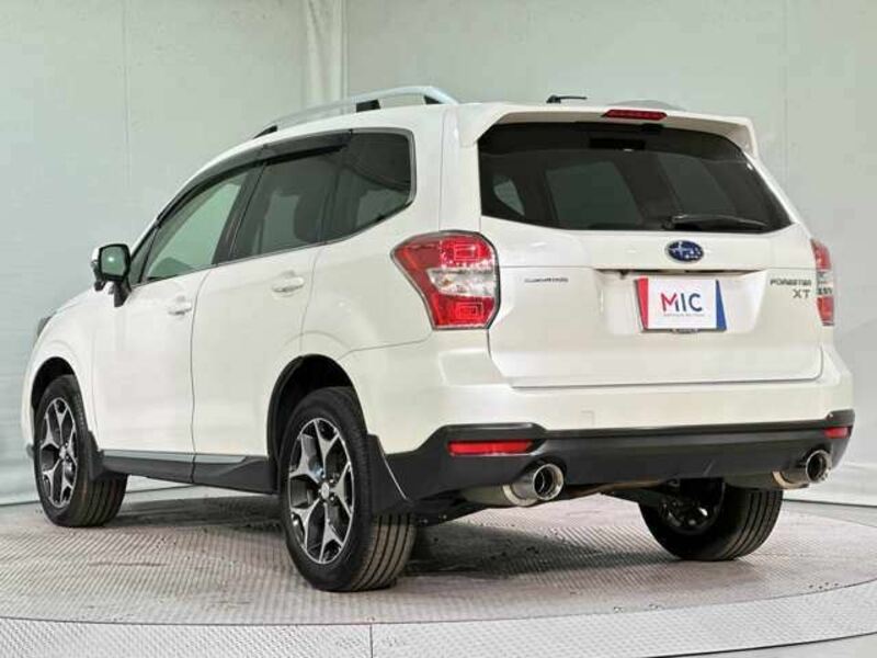 FORESTER-6