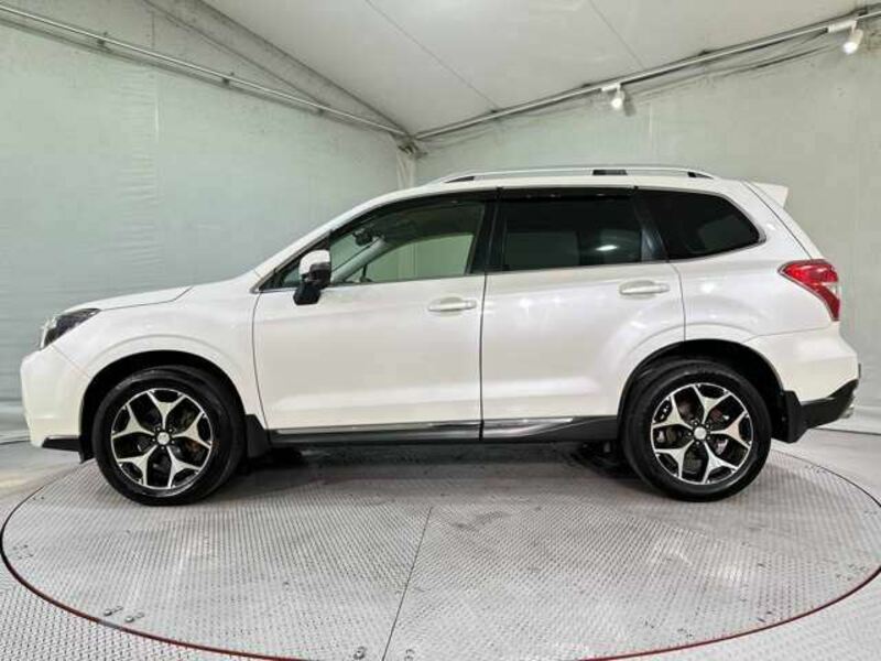 FORESTER-7