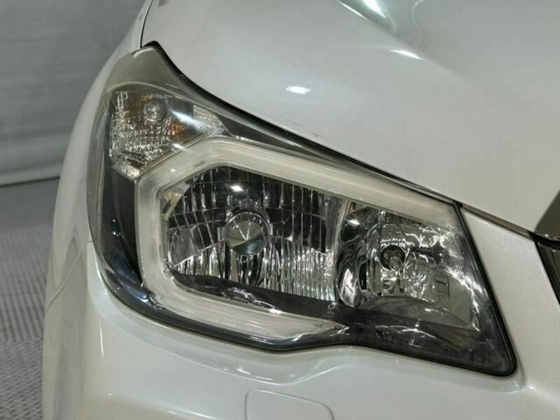 FORESTER-8