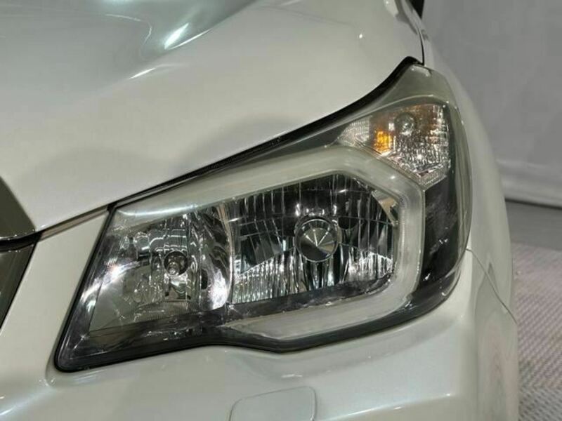 FORESTER-9