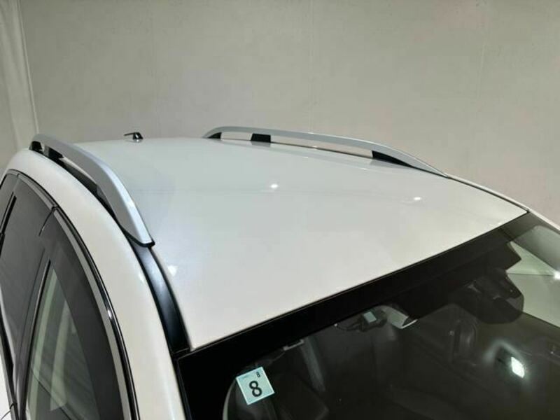 FORESTER-10