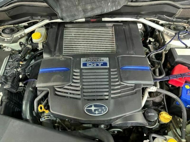 FORESTER-11