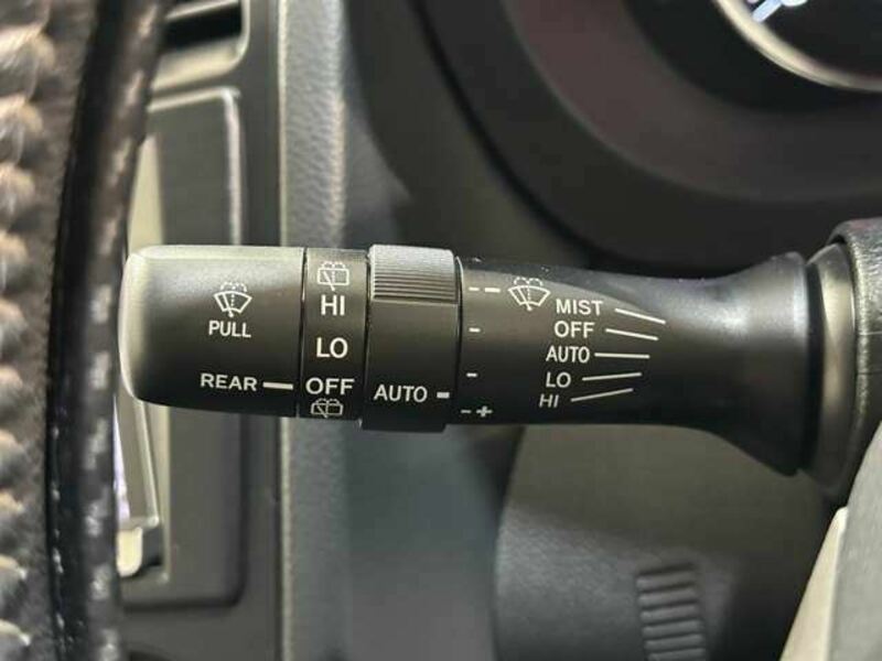 FORESTER-17