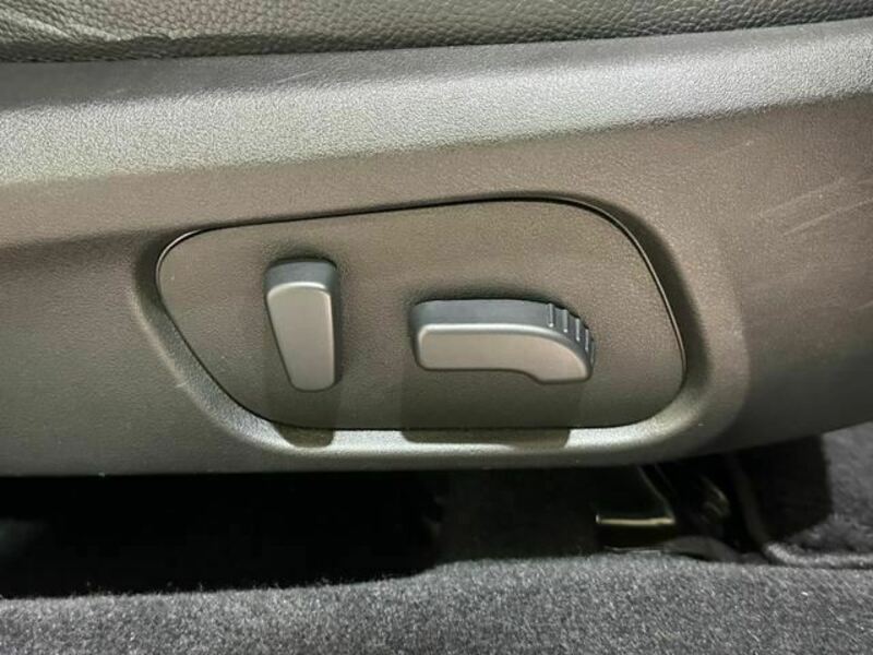 FORESTER-31