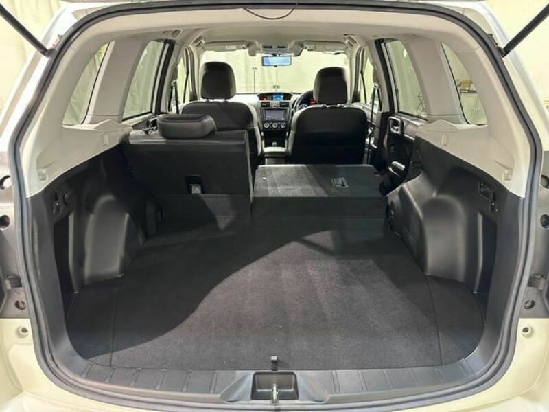 FORESTER-33