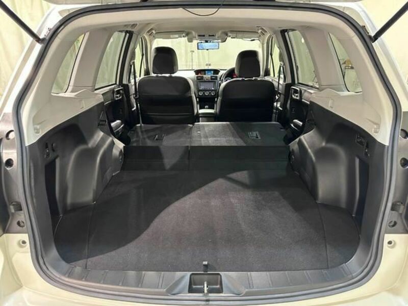 FORESTER-34