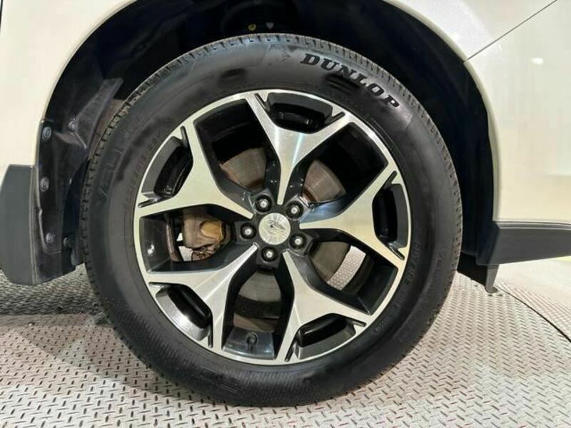 FORESTER-36