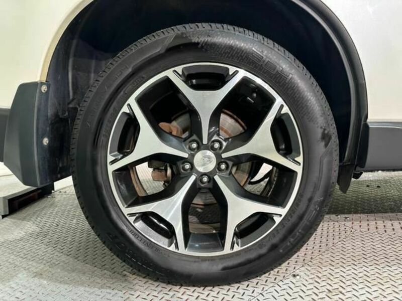 FORESTER-37