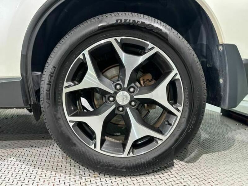 FORESTER-38