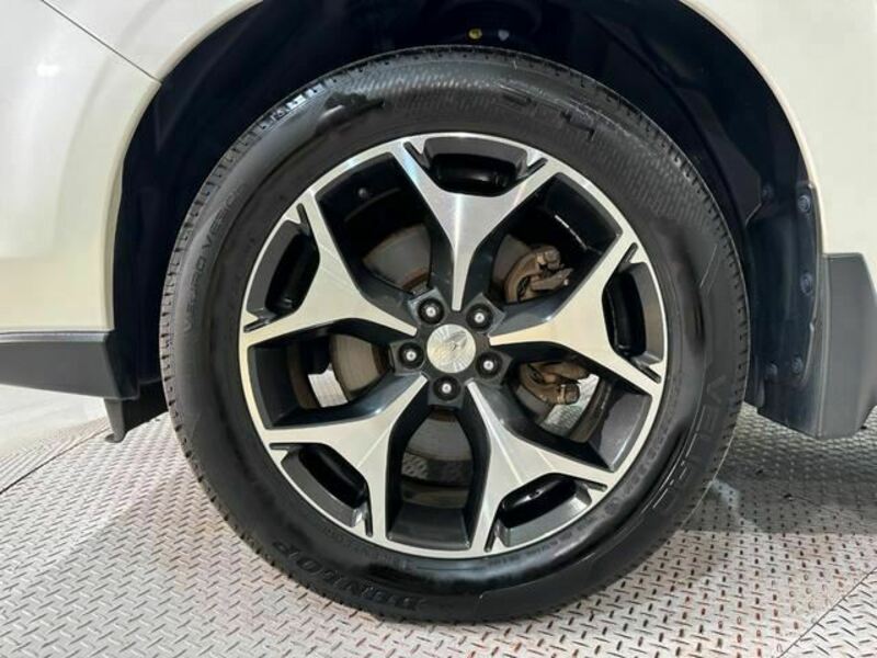 FORESTER-39