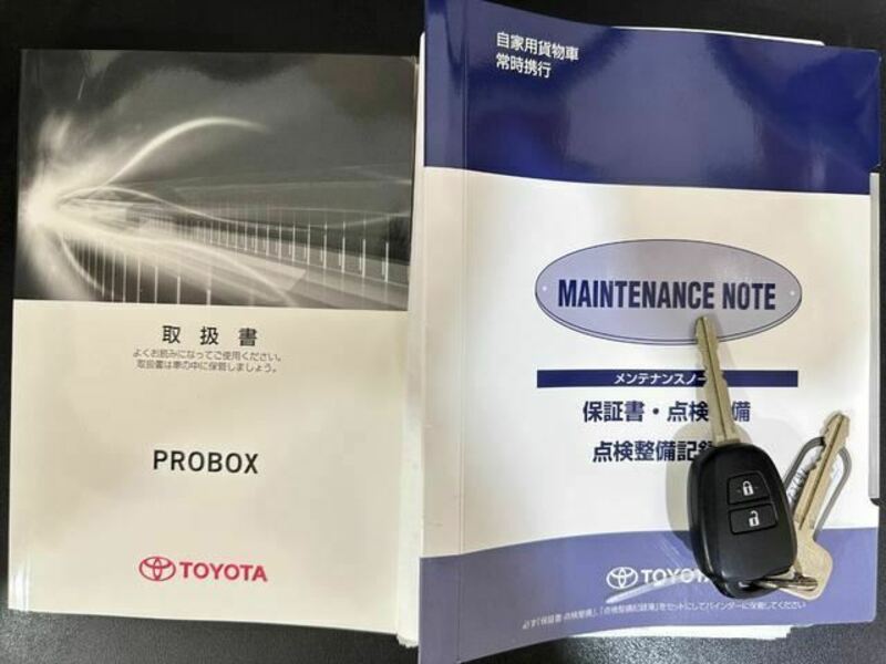 PROBOX VAN