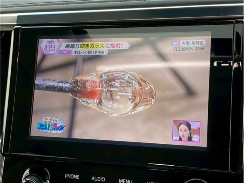 ALPHARD-21