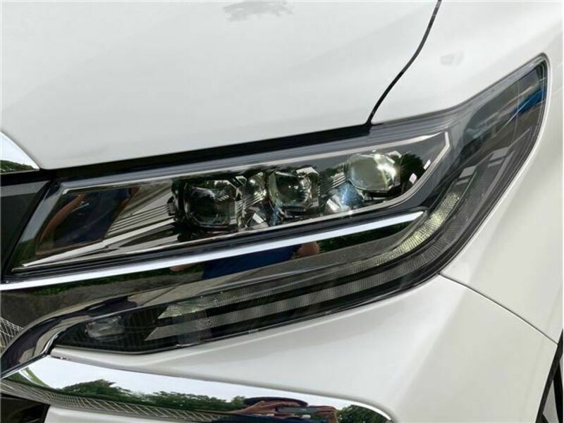 ALPHARD-43