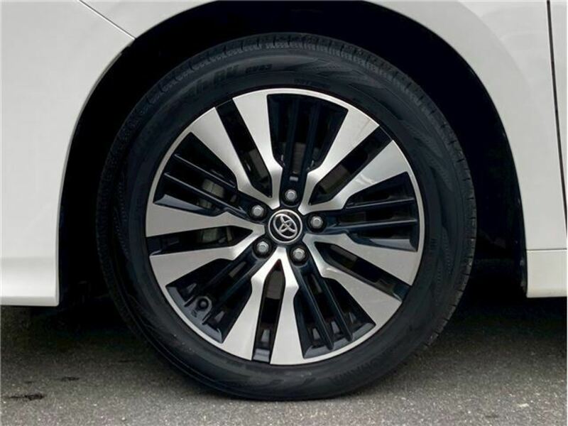 ALPHARD-47