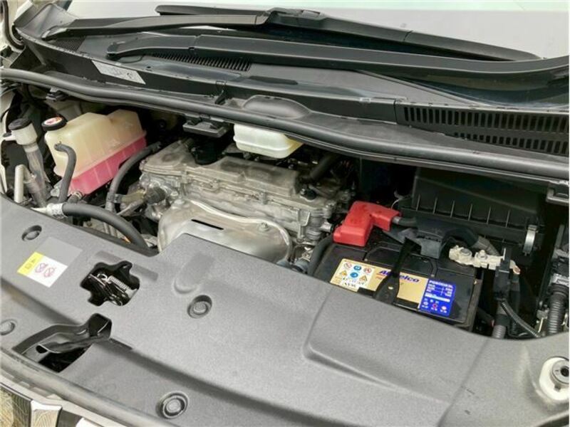 ALPHARD-49