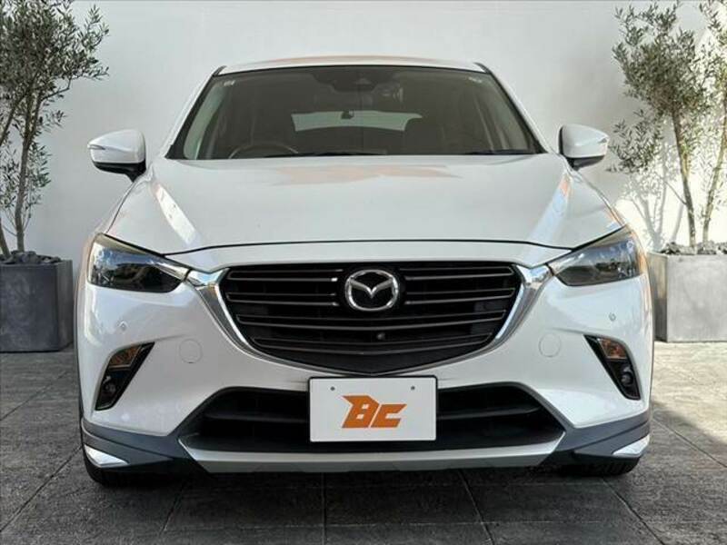 CX-3-8