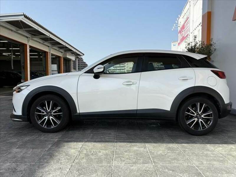 CX-3-11