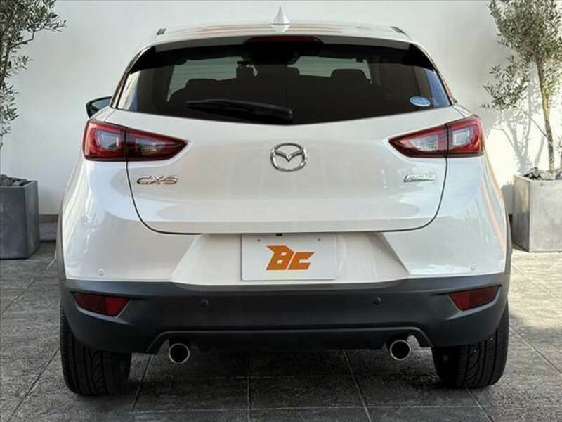 CX-3-13