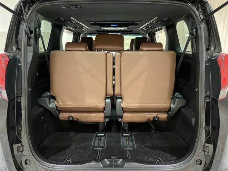 ALPHARD-13