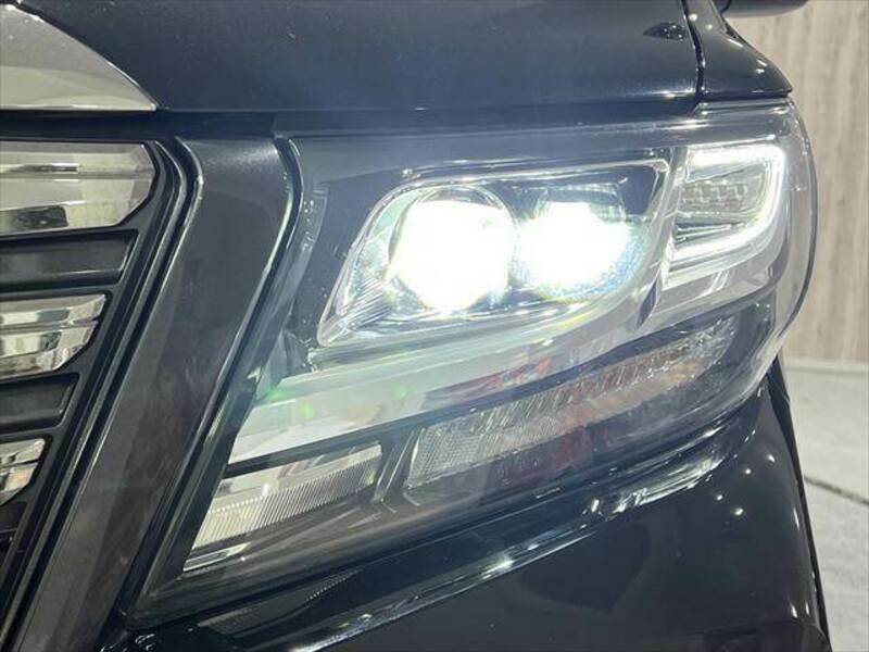 ALPHARD-15