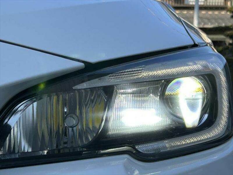 LEVORG-10