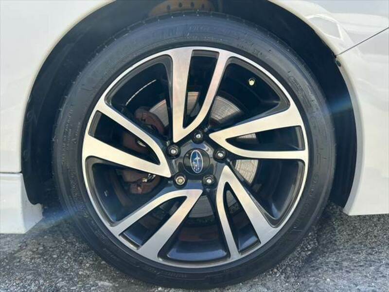 LEVORG-12