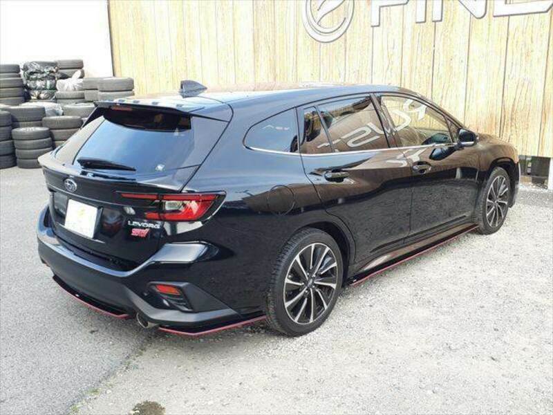 LEVORG