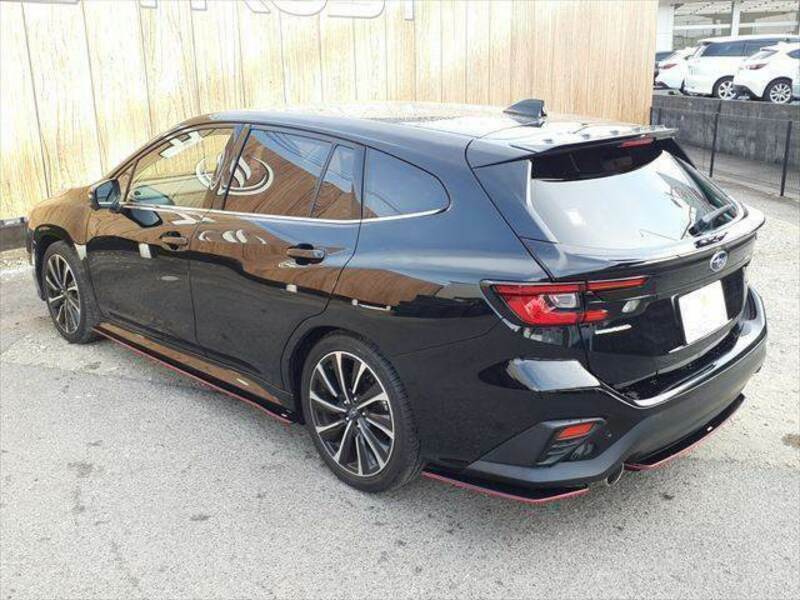 LEVORG
