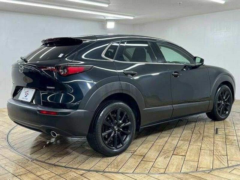 CX-30