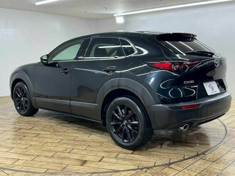 CX-30