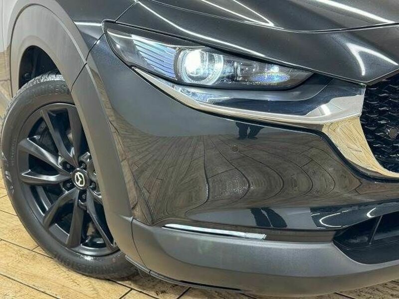CX-30